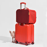 Foldable Portable Breathable Pet Carrier Backpack, gallery 2